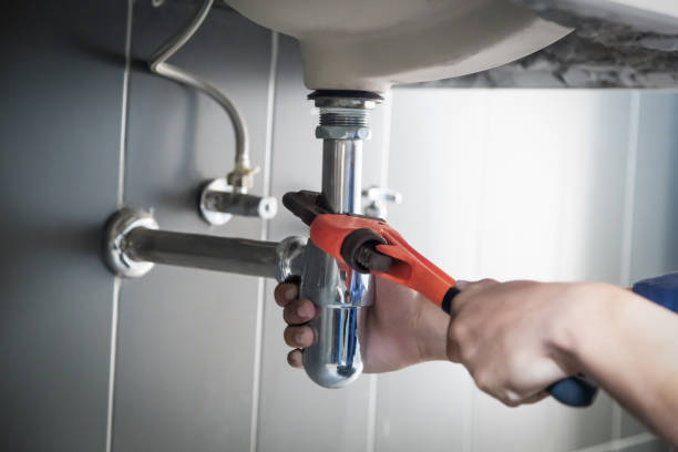 Best Plumbing System Maintenance  in Winter Garden, FL